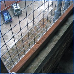 Bespoke solutions to unique bird proofing problems.